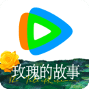 北京南戈女王